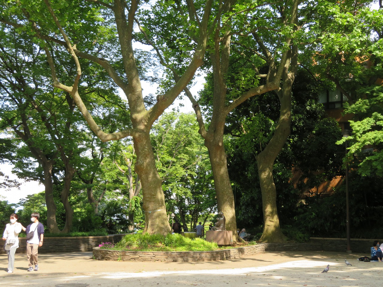 港の見える丘公園 ジェクト株式会社