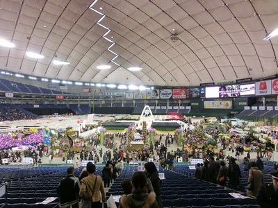 らん展2.1.jpg