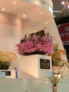 らん展4.jpg