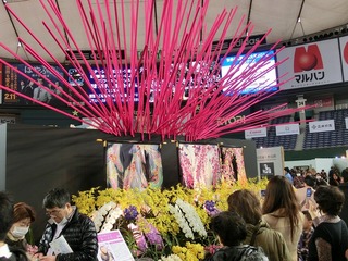 らん展5.jpg