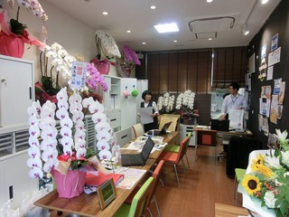 不動産部小杉店1.jpg