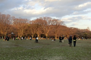 代々木公園3.jpg