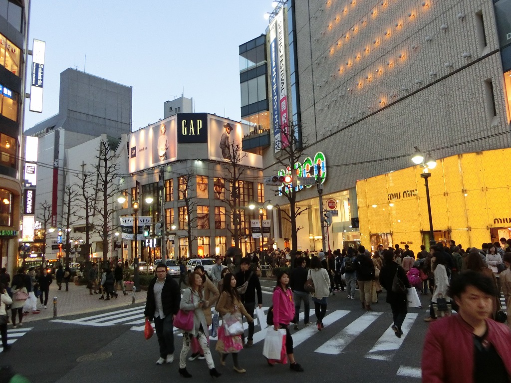 代々木公園一帯 市川社長のブログ